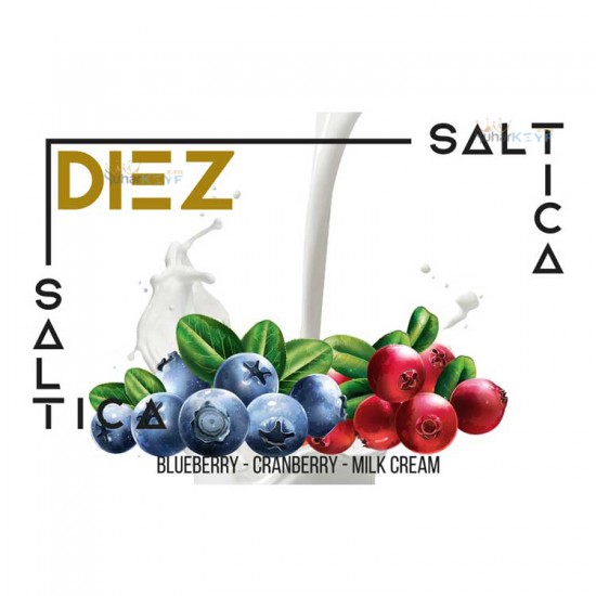 Saltica Diez Salt 30ML